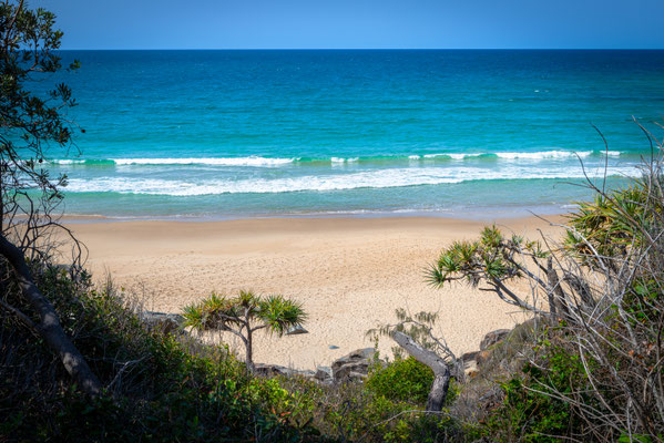 Noosa Heads National Park