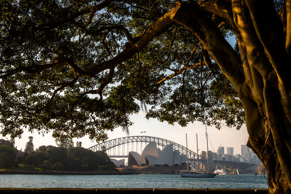 Royal Botanic Garden