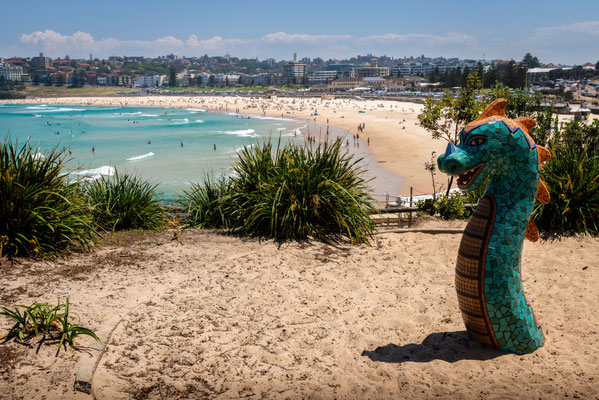 Federation Cliff Walk, Bondi to Watsons Bay, Bondi Beach