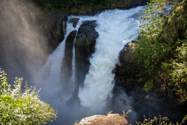 Elk River Provincial Park - Rundwanderung, Elk Falls, Sicht von der Hängebrücke