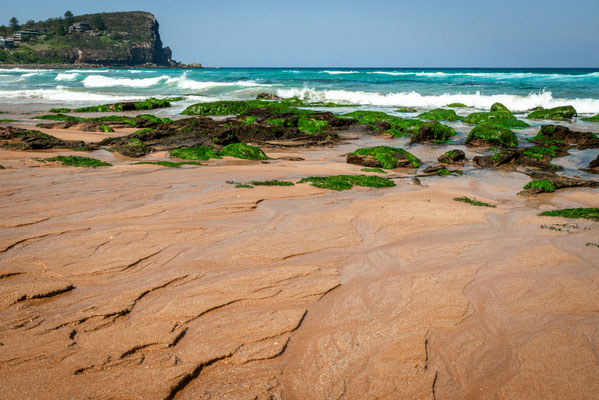 Avalon Beach