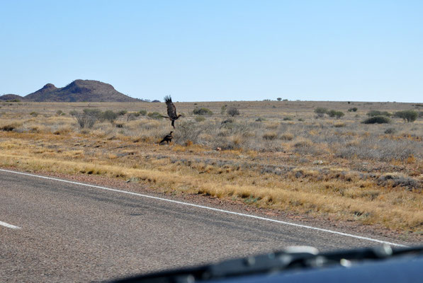 Auf dem Stuart Highway Richtung Süden