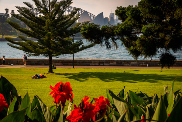 Royal Botanic Garden
