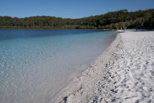 Lake McKenzie, Fraser Island - der berühmte weisse Bruder vom Lake Birrabeen