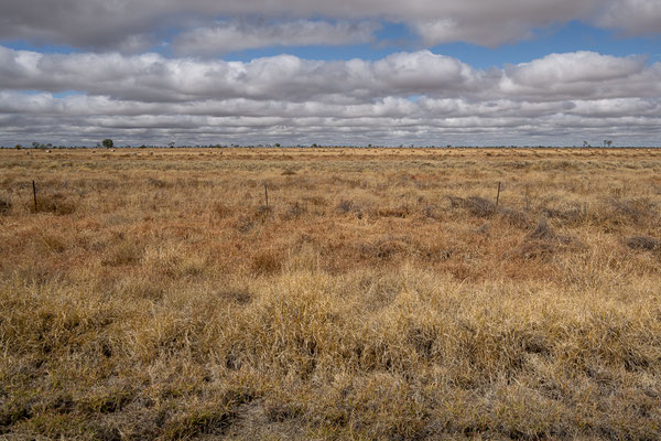unterwegs im Outback Richtung Winton