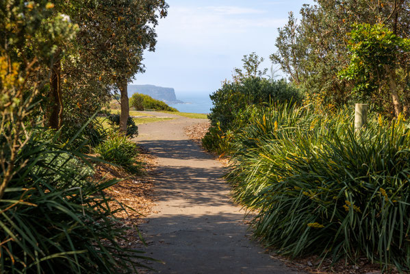 Coastal Cliff Walk - Clarke Reserve