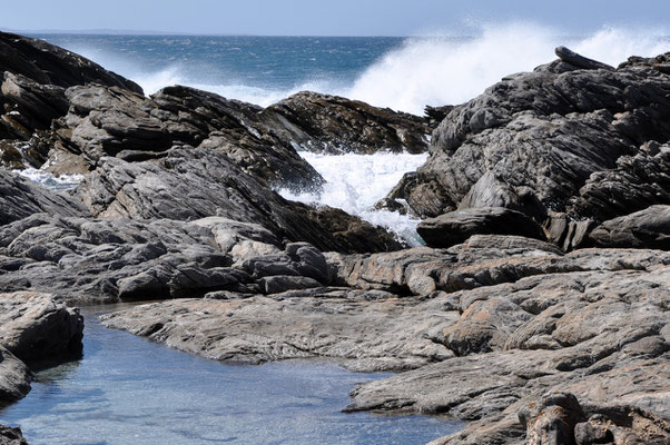 Kangaroo Island - Point Allen