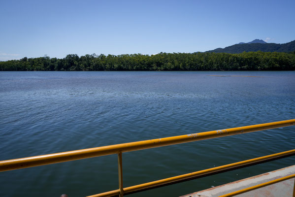Auf der Fähre über den Daintree River