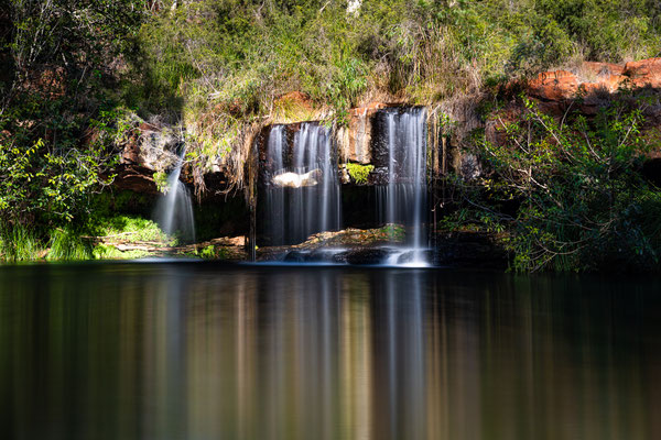 Dales Gorge, Karijini Nationalpark - Fern Pool