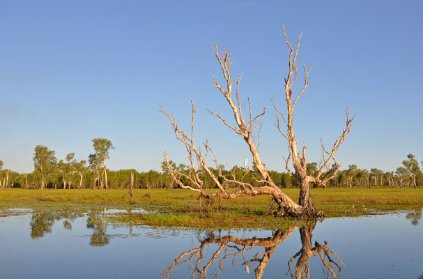 Kakadu National Park - Yellow Water Lagoon