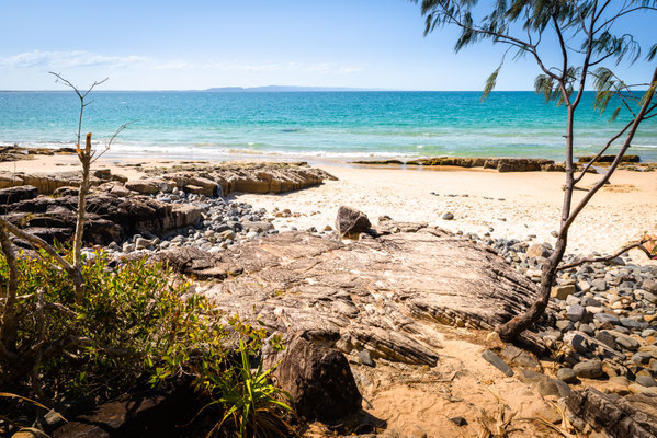 Noosa Heads National Park