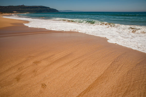 Palm Beach