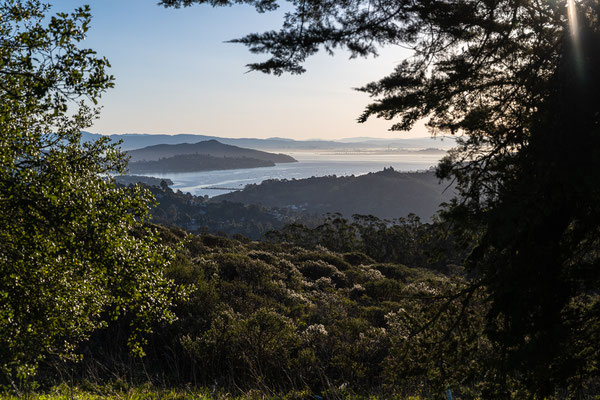 Auf dem Weg zum 'Muir Woods National Monument' - Aussicht über die Bucht von San Pablo