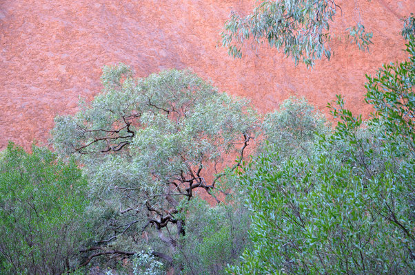 Uluru Base Walk