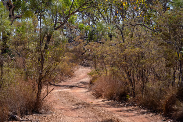 Litchfield Nationalpark - Lost City - der Track