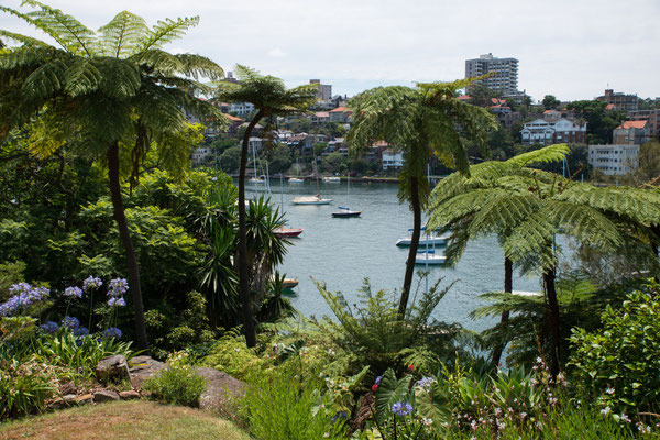 Cremorne Point, Sydney - Aussicht auf die Sydney Skyline