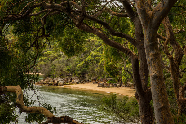 Breadleys Head (Sydney Harbour NP)