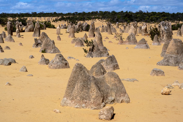 Pinnacles im Nambung National Park - auf dem 'Pinnacle Drive'
