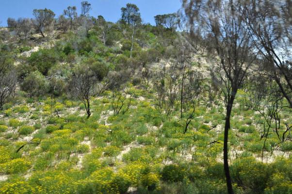 Coffin Bay National Park