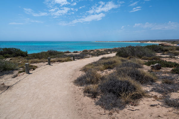 Cape Range Nationalpark - Osprey Bay Campground - der Strand