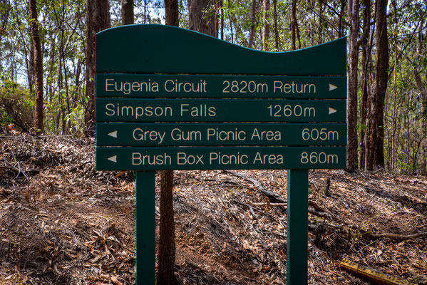 Mount Coot-tha - Simpson Falls Track