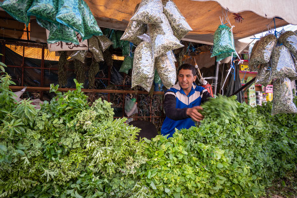Djemaa El Fna - Tee