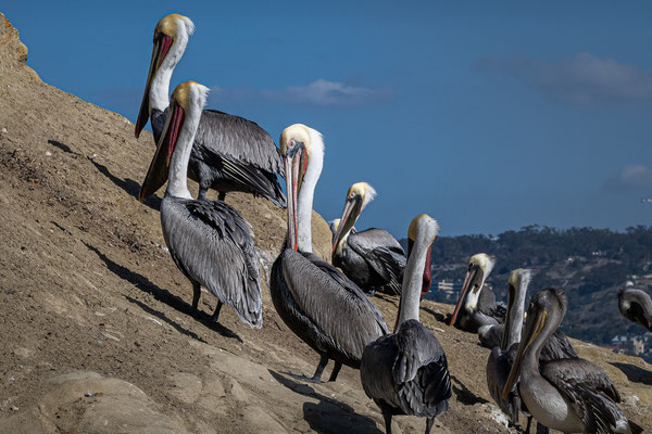 La Jolla Cove, San Diego