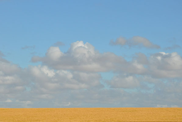 Landschaft Richtung Streaky Bay