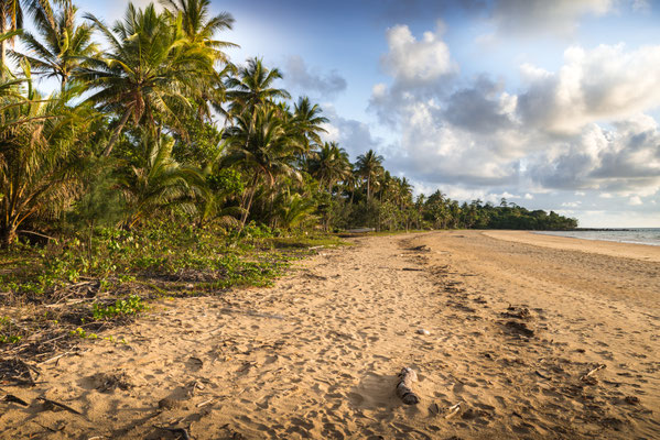 Mission Beach am frühen Morgen