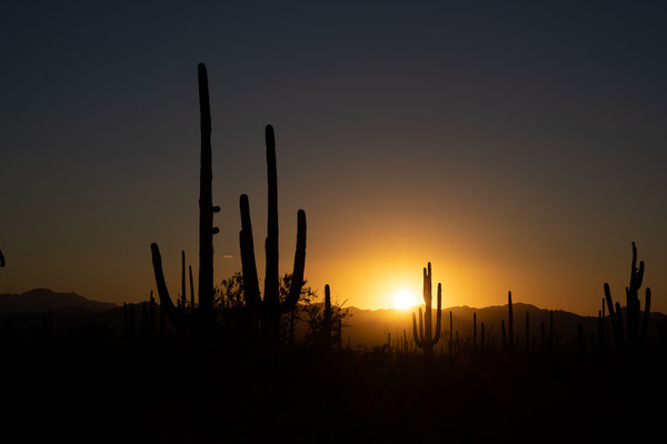 Tucson - Desert Discovery Nature Trail - Sunset