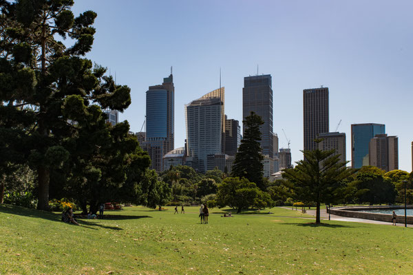 Sicht vom Botanischen Garten zur Skyline