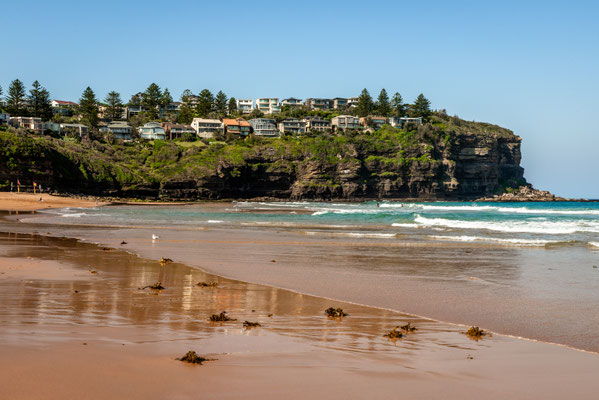 Bilgola Beach 