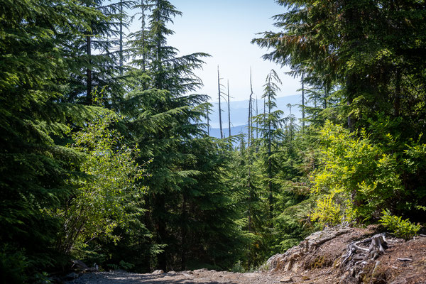 Cypress Provincial Park - Wanderung zum Bowen Lookout