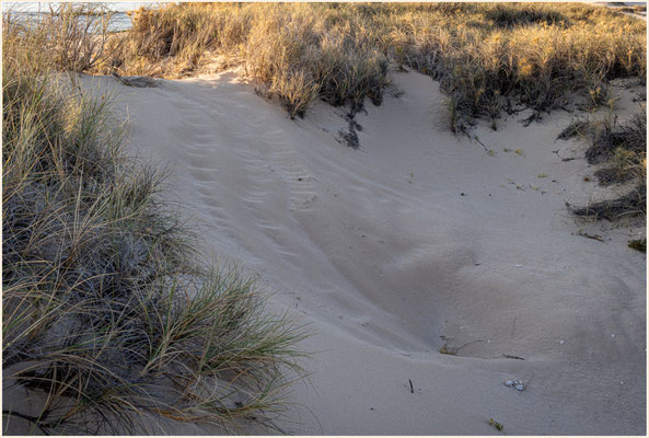 Osprey Bay, Cape Range Nationalpark - das Nest der Meeresschildkröte