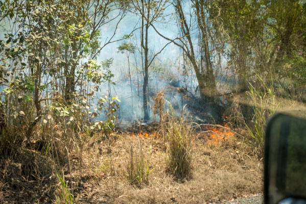 Feuer in Wujal Wujal