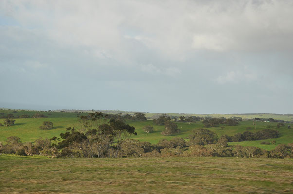 schöne Landschaft vor Cape Jervis