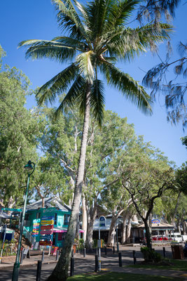 Palm Cove