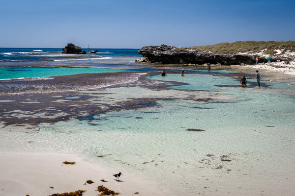 Rottnest Island - Rundfahrt um die Insel - The Basin