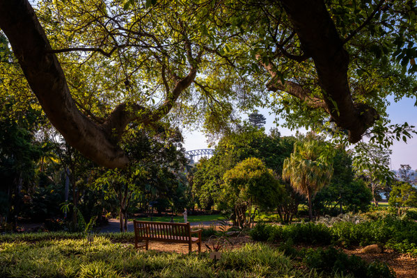Royal Botanic Garden