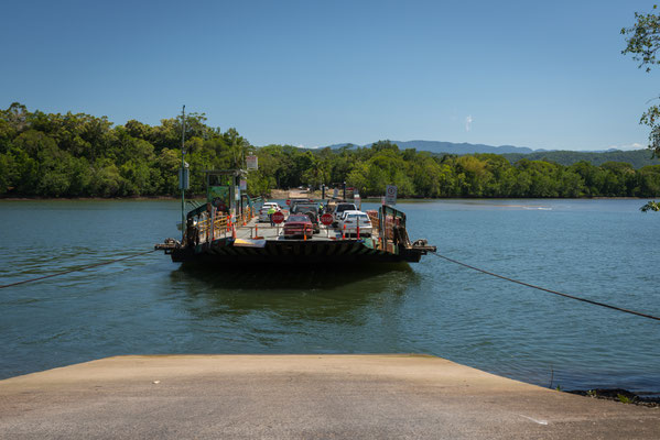 die Fähre über den Daintree River