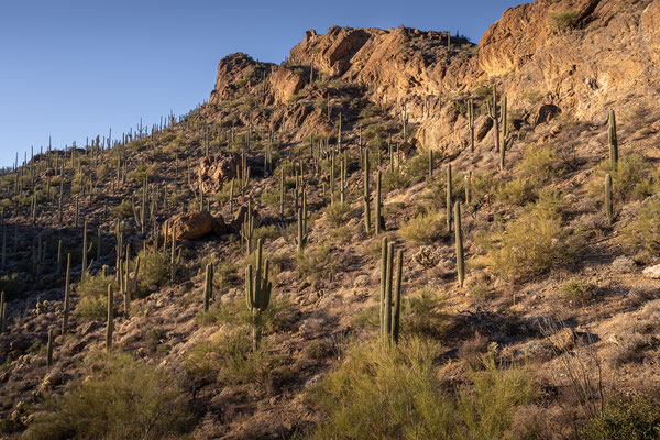 Gates Pass