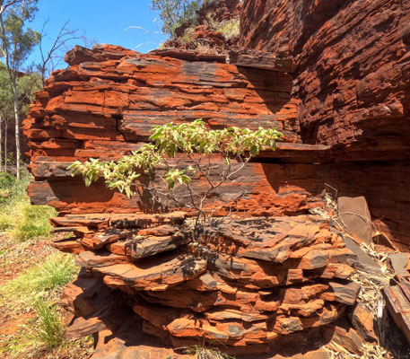 Weano Gorge, Karijini Nationalpark