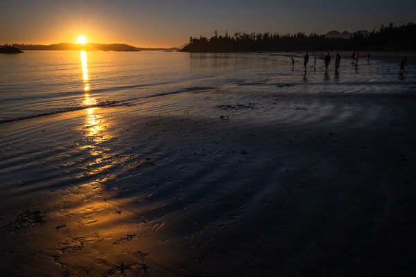 Tofino - MacKenzie Beach