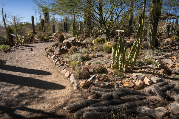 Sonora Desert Museum, Tucson