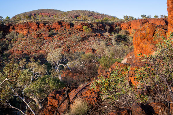 Dales Gorge, Karijini Nationalpark - Schluchtwanderung am Frühen Morgen