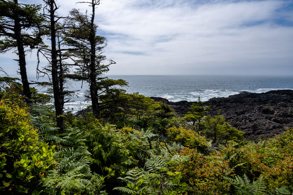 Ucluelet - Wild Pacific Trail