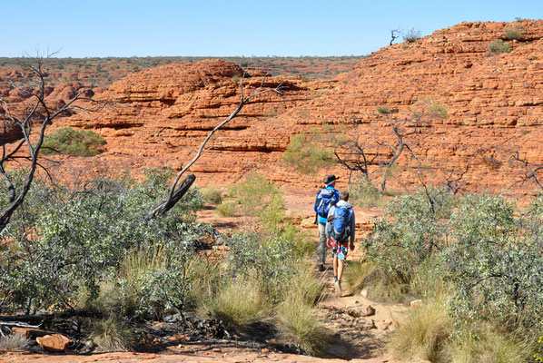 Kings Canyon Rim Walk