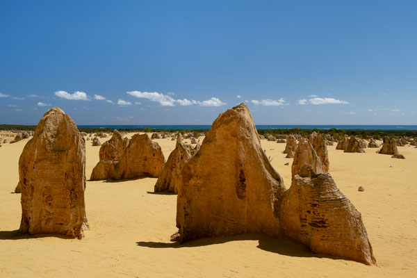 Pinnacles im Nambung National Park - auf dem 'Pinnacle Drive'