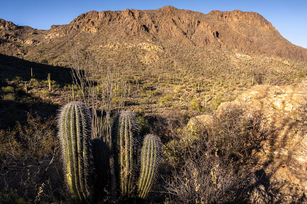 Gates Pass