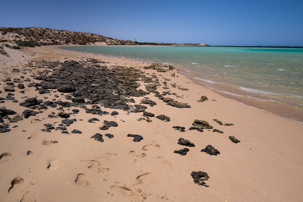 Bill's Bay, Coral Bay